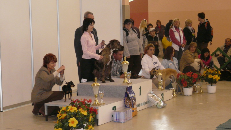 P1020191.JPG